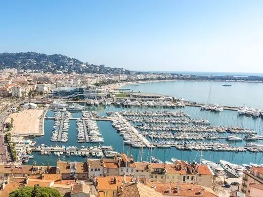 Le port de Cannes et ses yachts